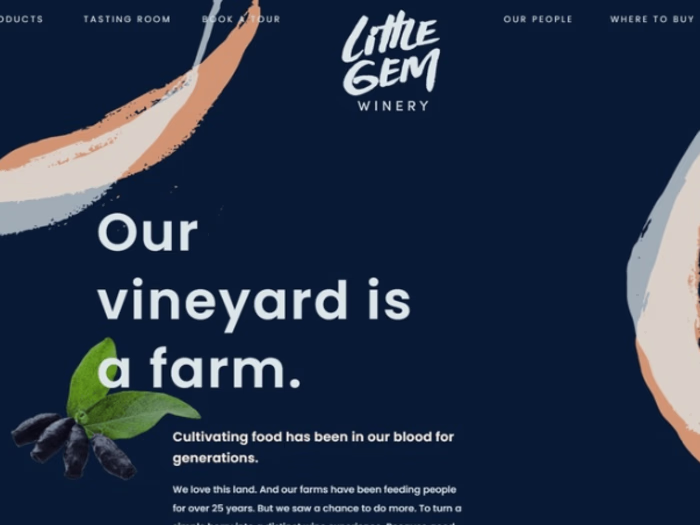 Little Gem Winery Conversion Rate Optimization