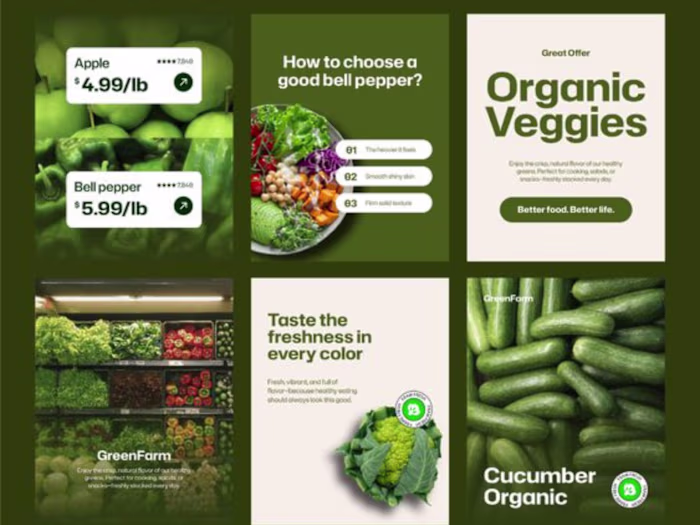 Dieting Plan Designs and Organic