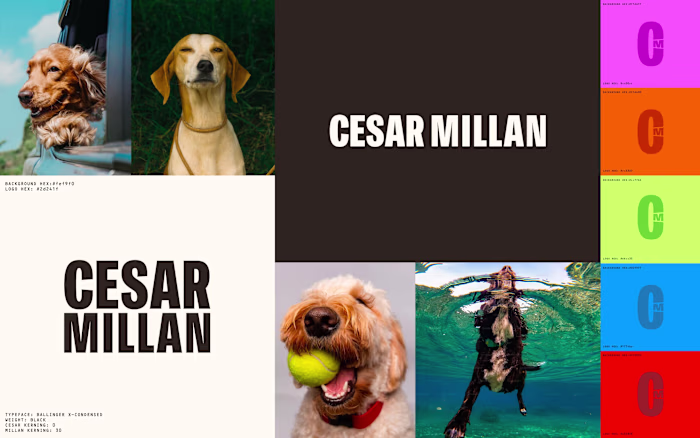 Cesar Millan Rebrand