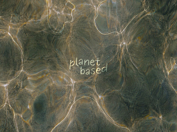 Planet Based — Premium Natural Skincare Brand Identity