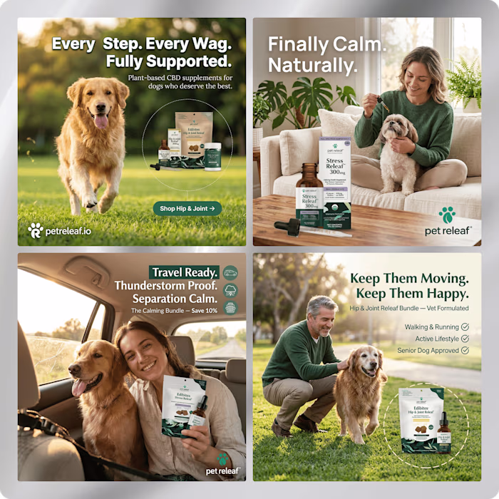 Static ad concepts for a CBD pet supplements brand