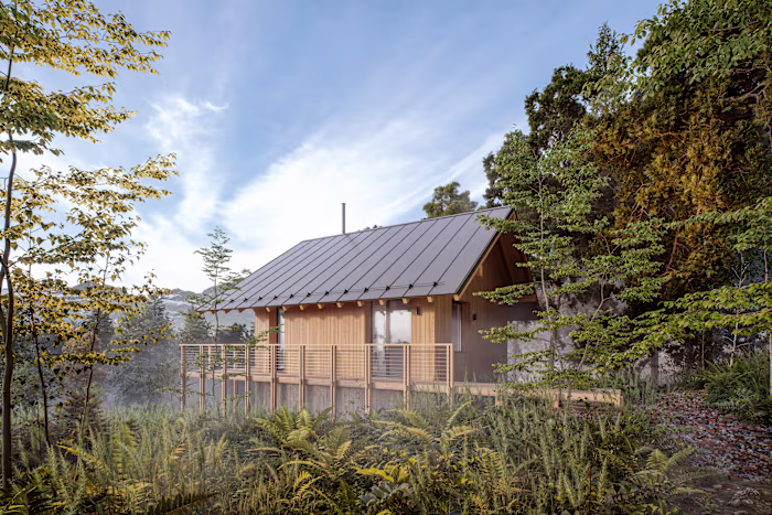 LMNT House - Architectural Visualization