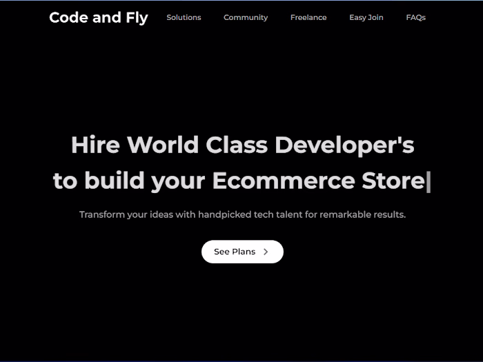Code And Fly Website