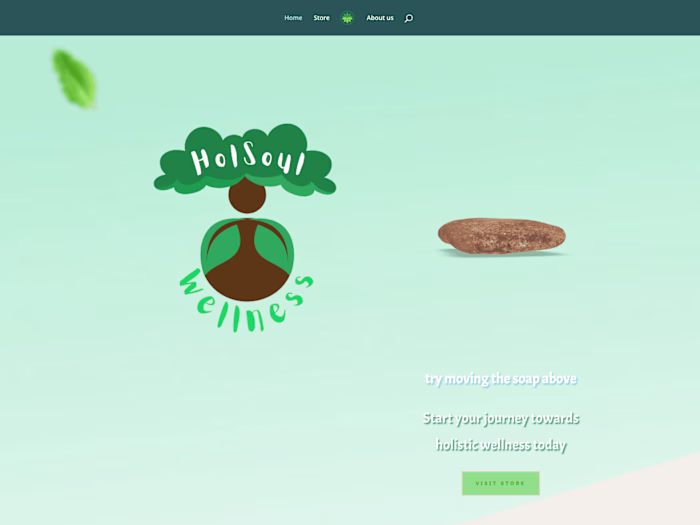 holsoulwellness | Health & Wellness Products