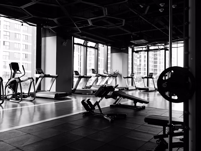 Article on SportsArt's rower while working for Impakter.