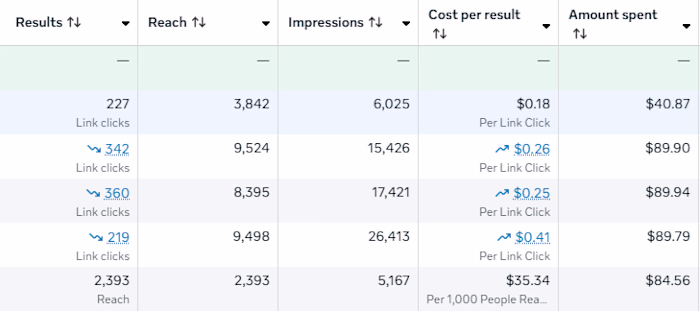 1 Month of Facebook Ads