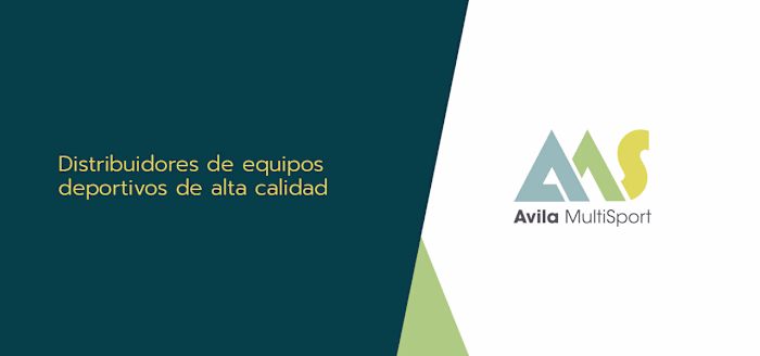 Web Design for Ávila Multisport