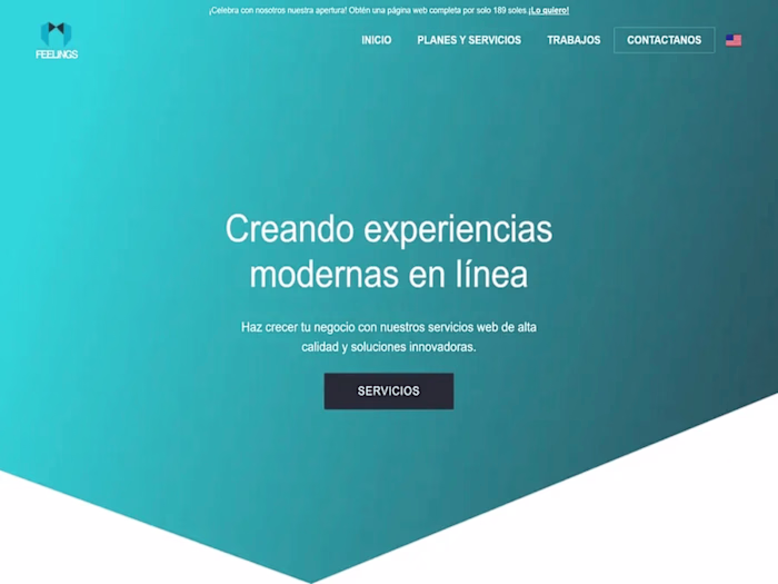 Contributing to FeelingsLabs' Success: Web Agency