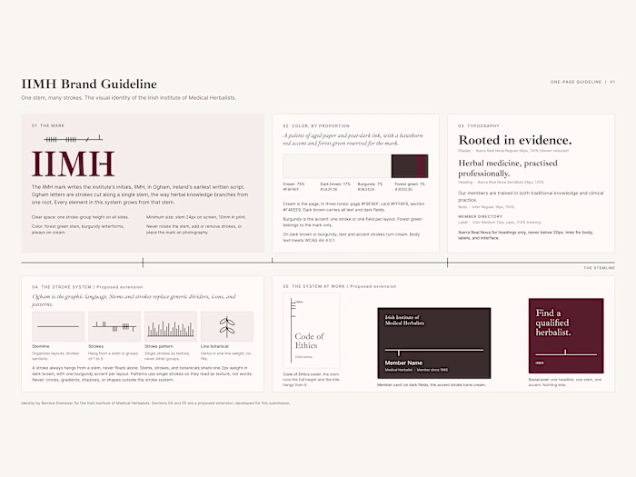 One Stem, Many Strokes - IIMH Brand Guideline