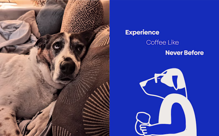Boost Your Dog's Energy with Dog Day Nitro Today!