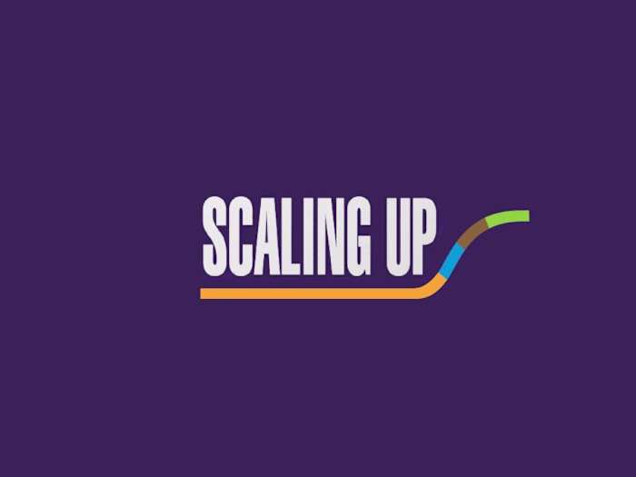 Project Manager | Scaling Up
