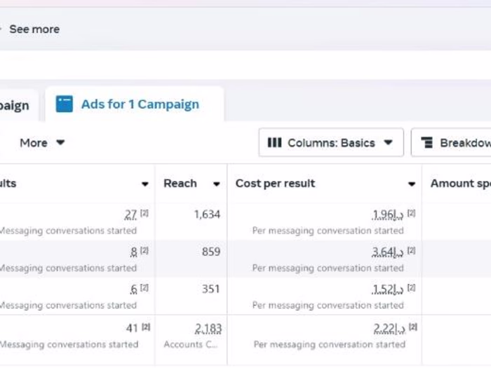 Facebook ads expert 