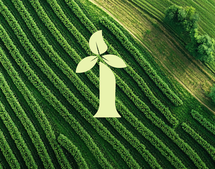 Imara Farms Brand Identity