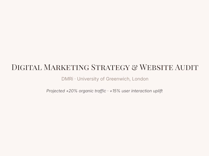 Digital Marketing Strategy & Website Audit — DMRi