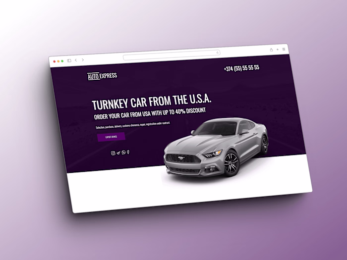 Creating Professional Websites