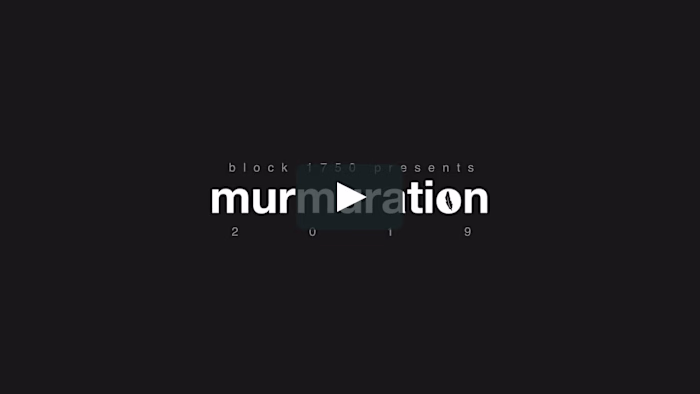 Music Video (Commercial) - Murmuration 2019