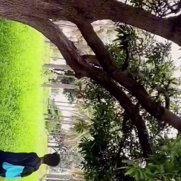 Self video edit 
