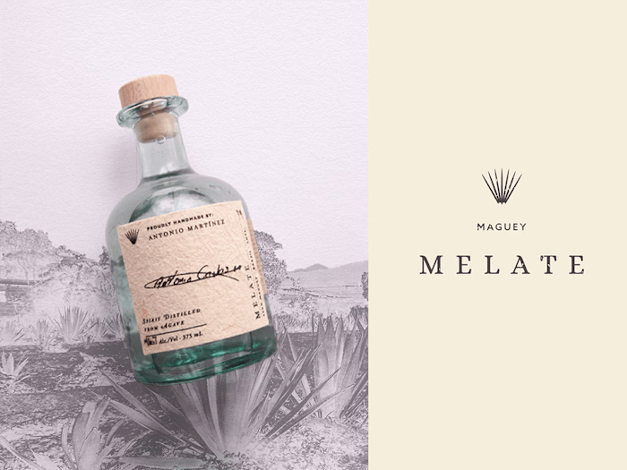 Maguey Melate- Branding