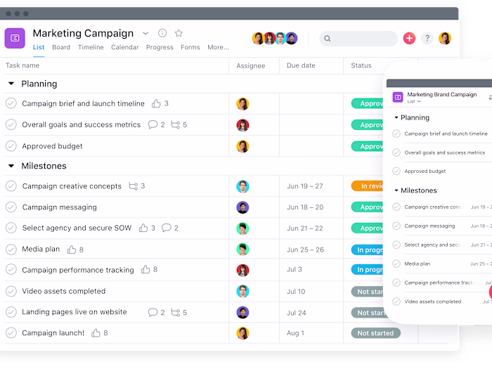 Implementing Asana 
