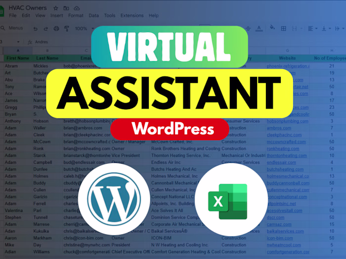 Virual Assistant WordPress Elementor Data Entry Project 