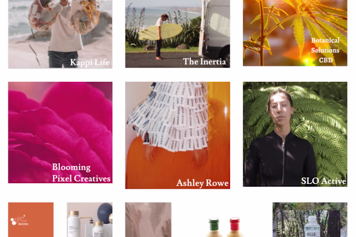 Portfolio