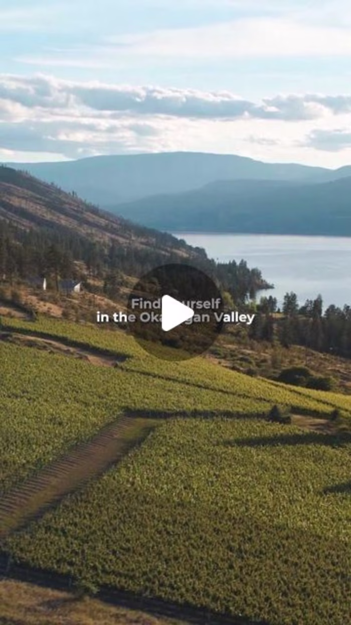Instagram Reel - Wine BC video