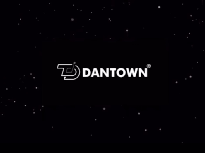 DanTown Ad Video