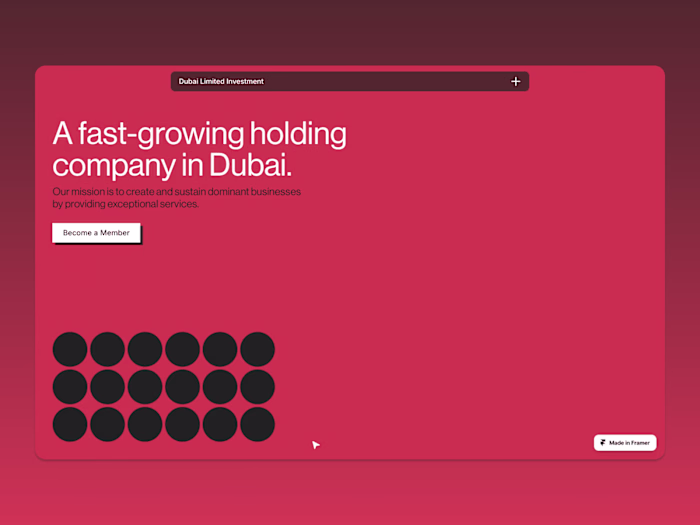 Holding Company Concept