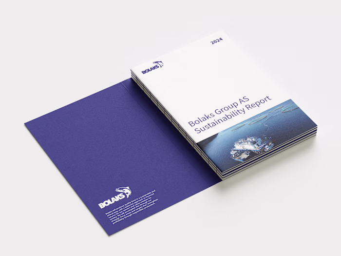 Bolaks Sustainability Report Design