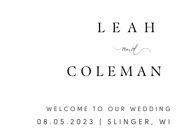 Wedding Signage | Retro Palm Springs Minimal