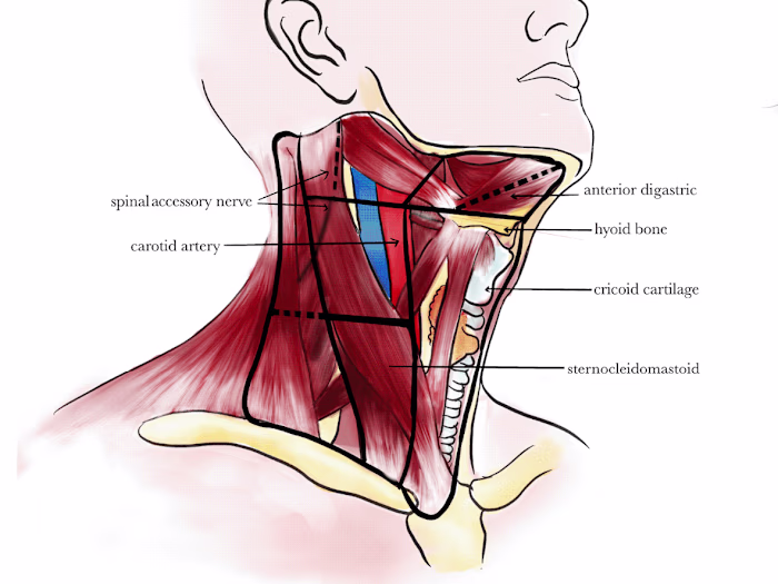 Medical Illustrations for Study Resource Publication 