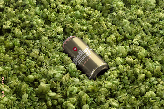 Brewvolution: Rethinking Beer Packaging