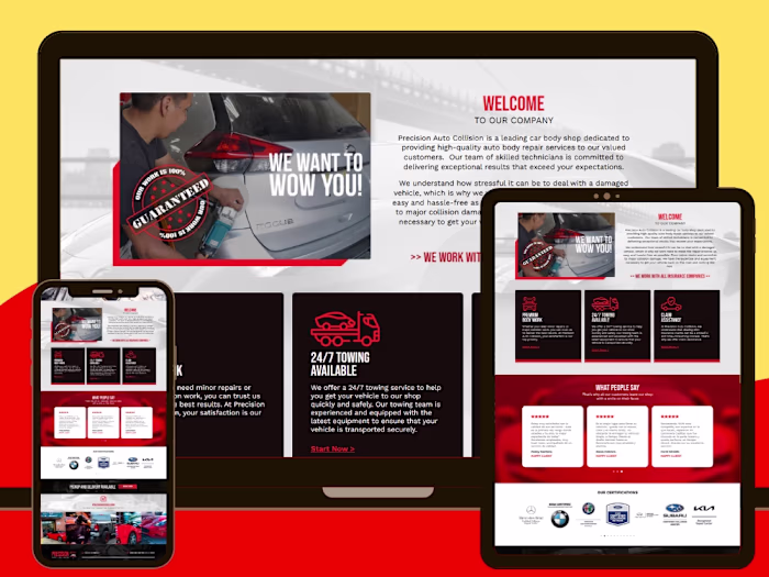 Designed and developed a professional