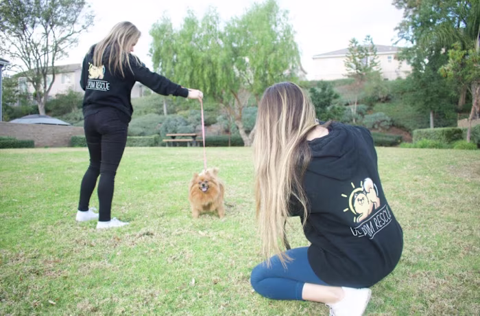 Building a Virtual Community for OC Pom Rescue