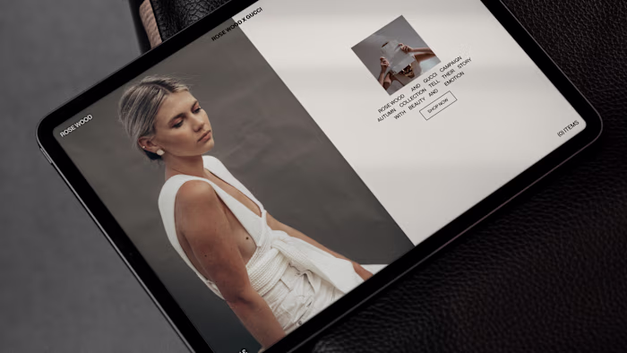 Web Design Concepts 