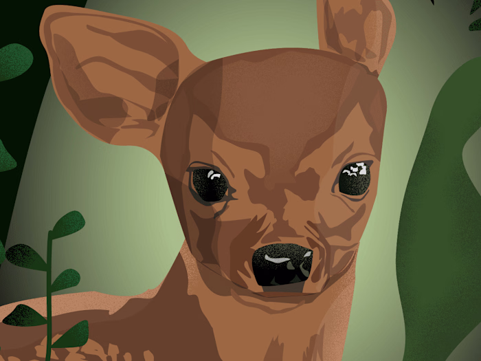 Behance