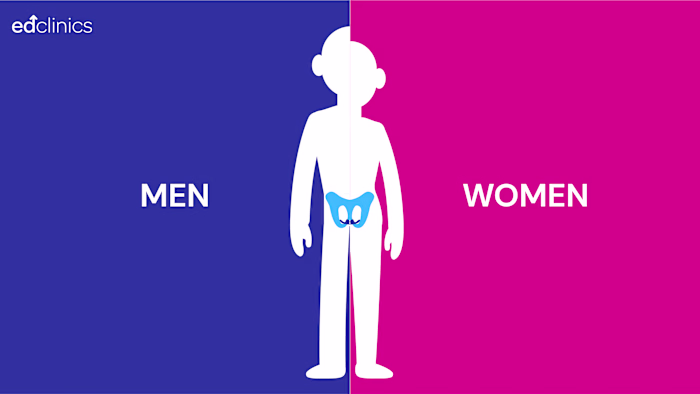 Explainer Style Animation for Ed Clinics-Pelvic Floor Muscles