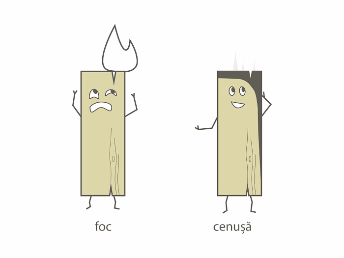 Scândurel — Wood Care Character Illustrations