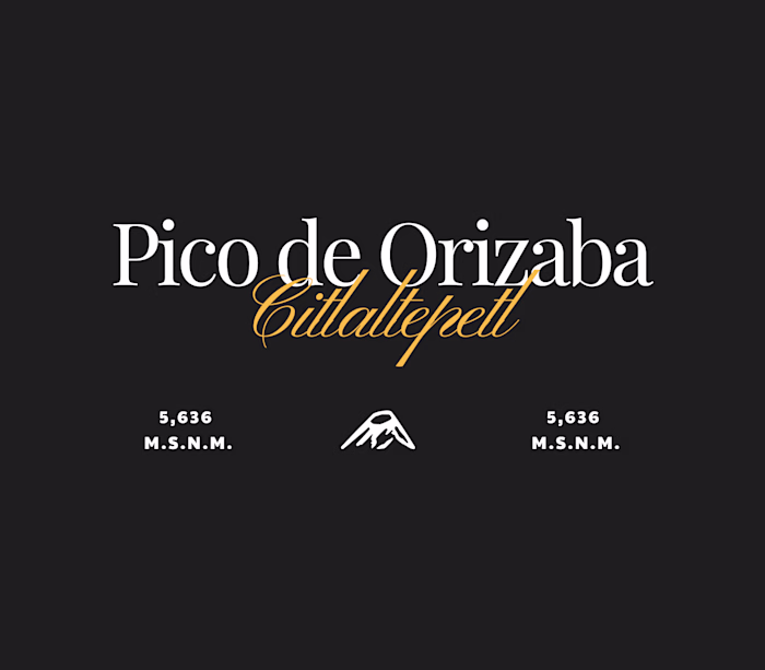 Identidad Visual: El Pico Project