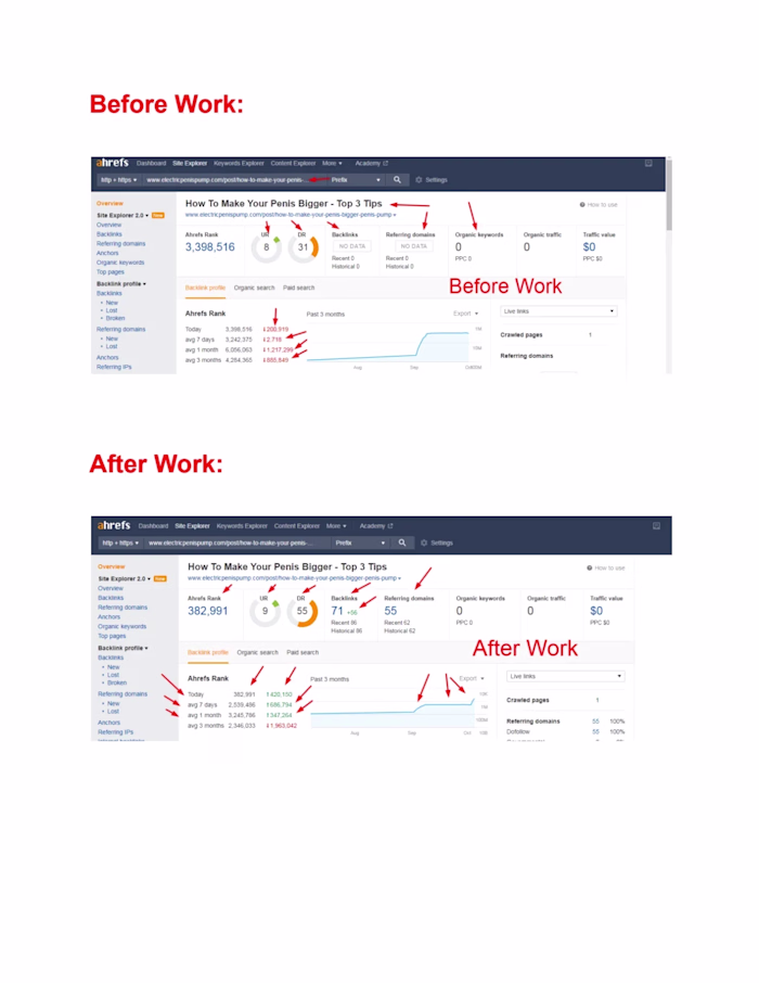 Rank Higher, Thrive Faster: Full-Spectrum SEO Solutions