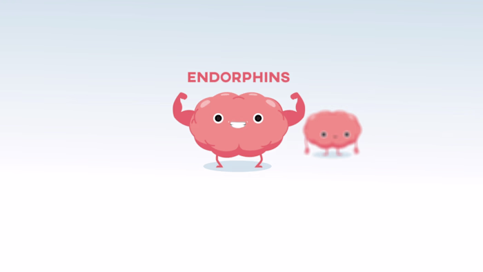 Brain Animation Explainer