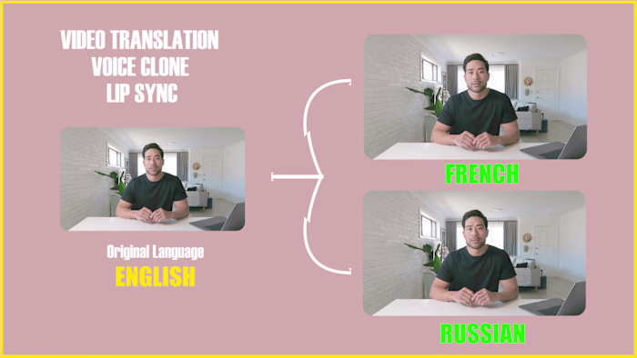 Video Translation