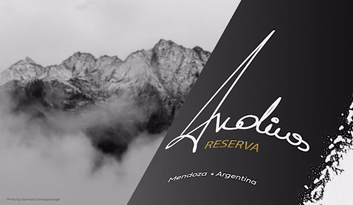 Branding - Andinos Malbec