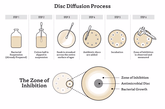Disc Diffusion Process
