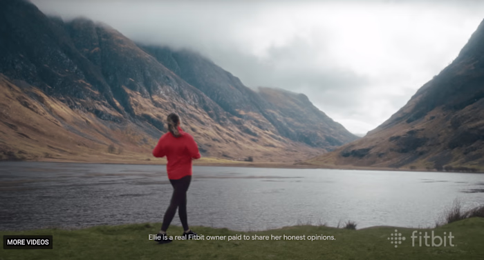 Fitbit - User Stories