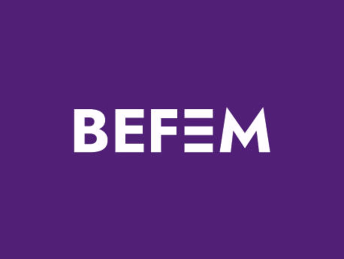 Rebranding for BEFEM - feminist cultural center