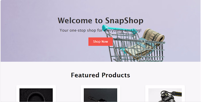 E-Commerce Website