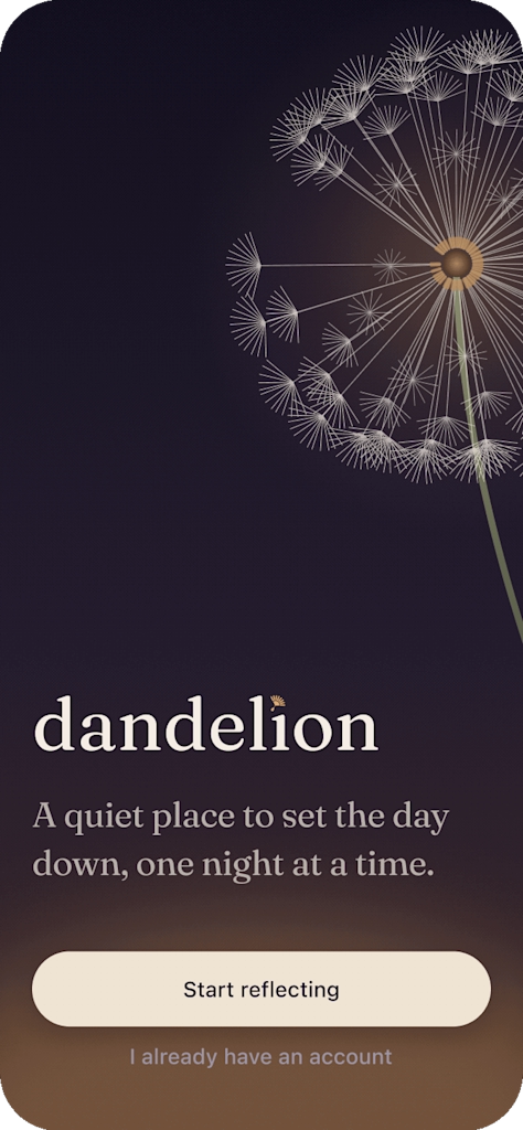 Dandelion in bloom