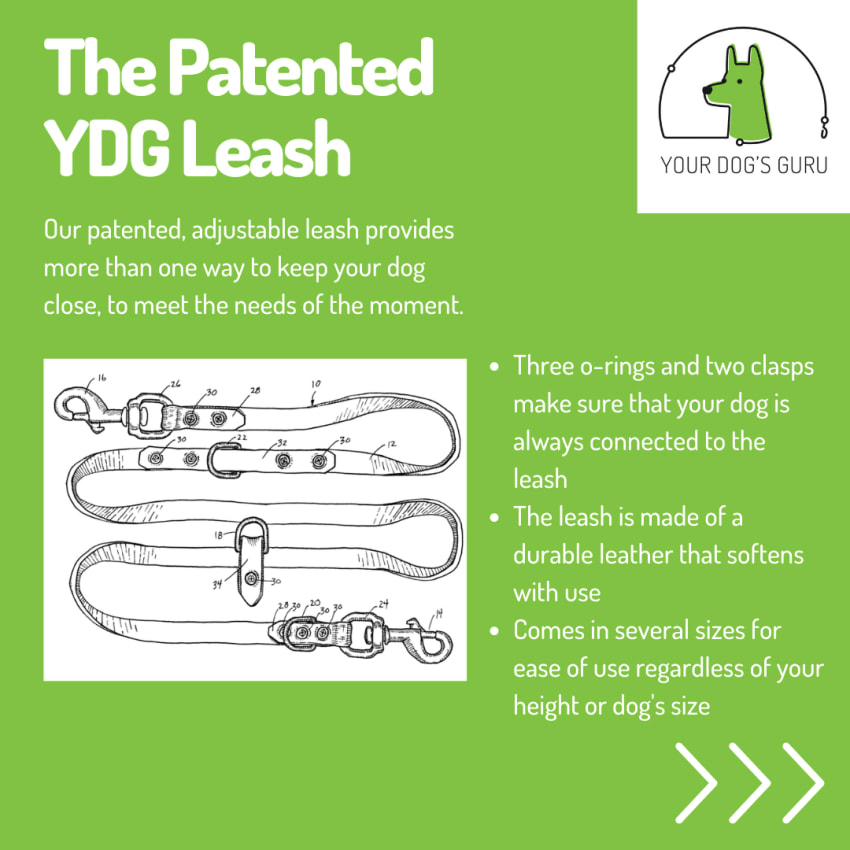Your Dog s Guru Infographics By Caroline Cobb your-dog-s-guru-infographics-by-caroline-cobb