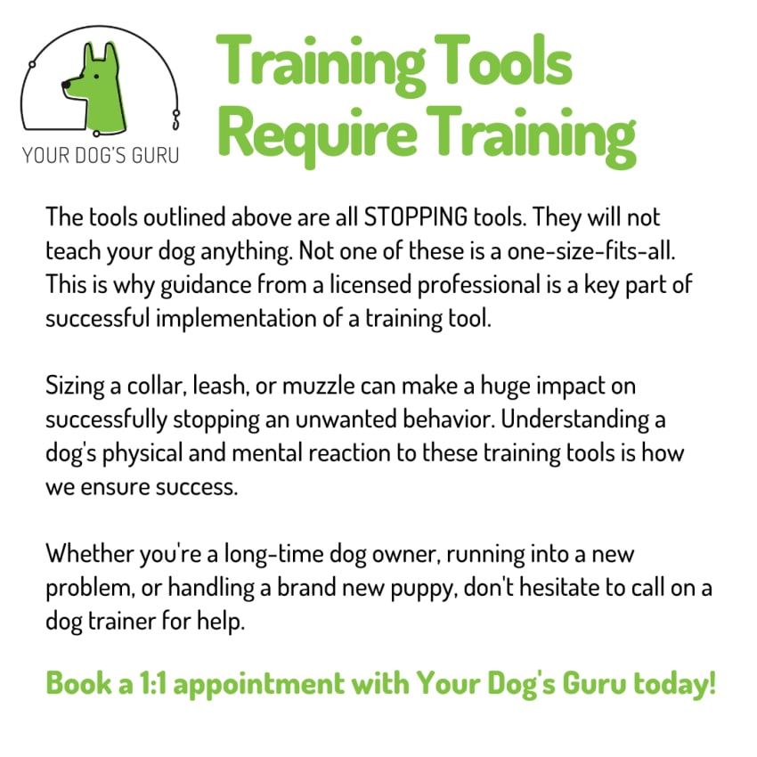 Your Dog s Guru Infographics By Caroline Cobb caroline-cobb-melodicworship